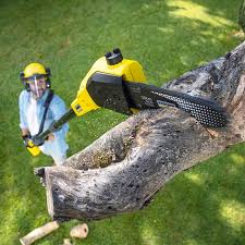 Trusted Labarque Creek, MO Tree Removal and Landscaping Services Experts